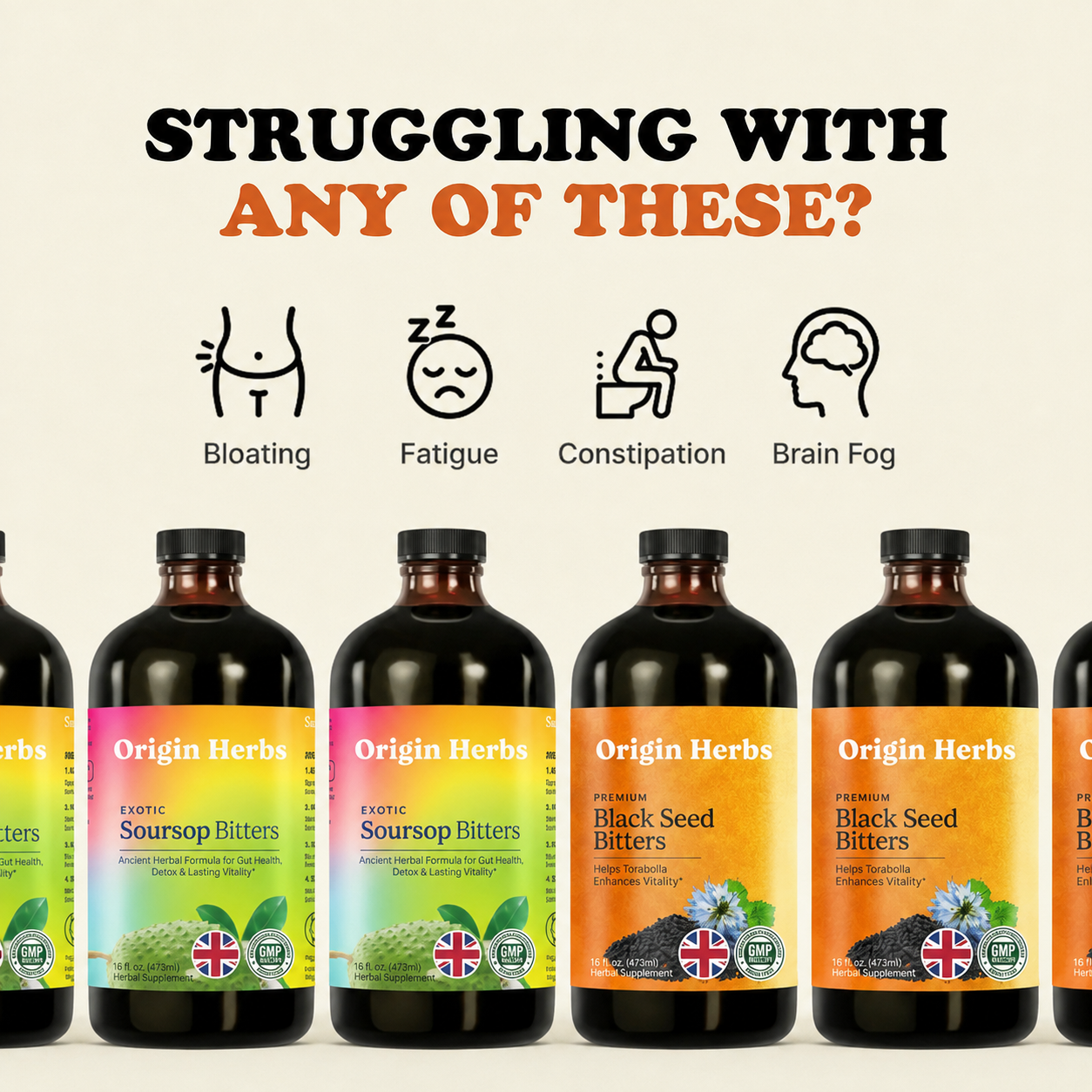 Intro Offer Free Metabolic EdD Bundle