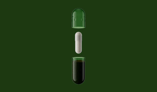 Daily Synbiotic