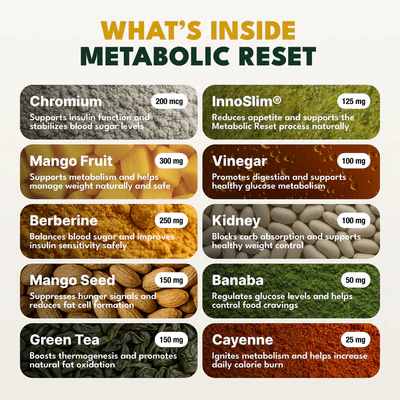 Intro Offer Free Metabolic EdD
