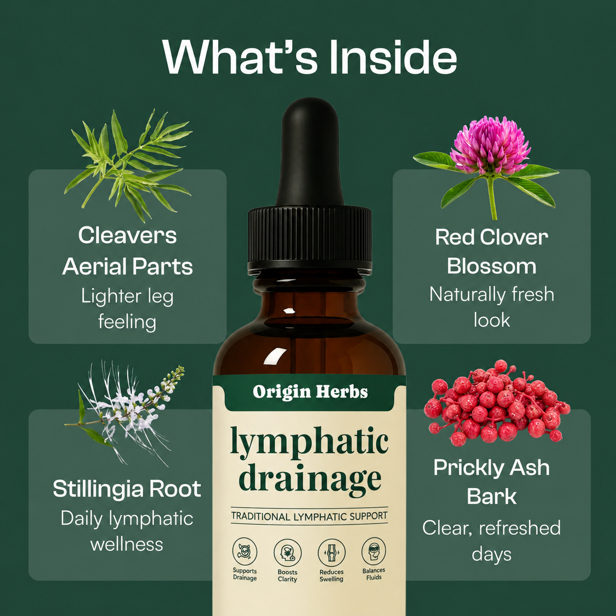 Origin Herbs Lymphatic Drainage Drops