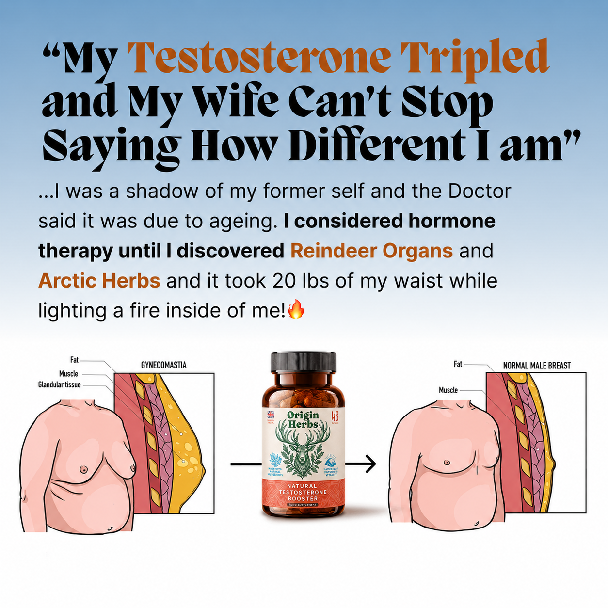 Origin Herbs Testosterone Booster